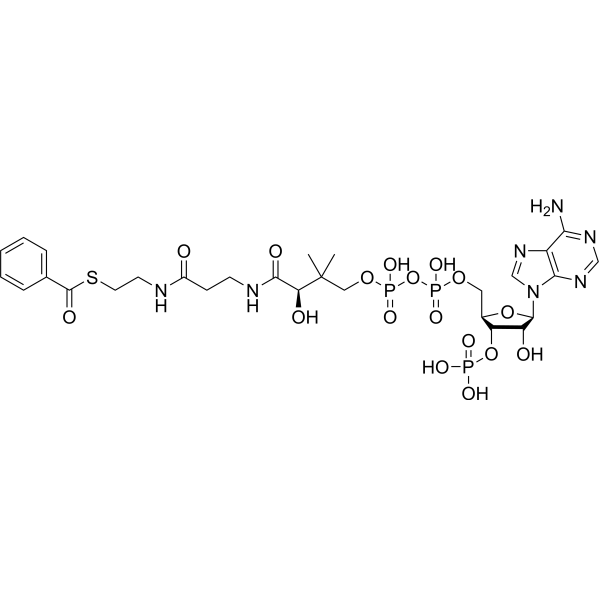 Benzoyl coenzyme A 6756-74-7